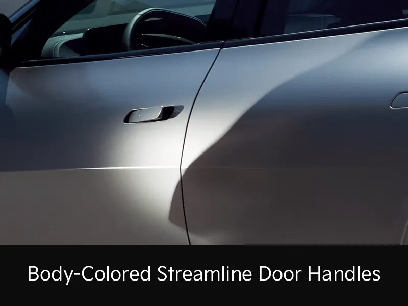 body-color-streamlined-door-handles
